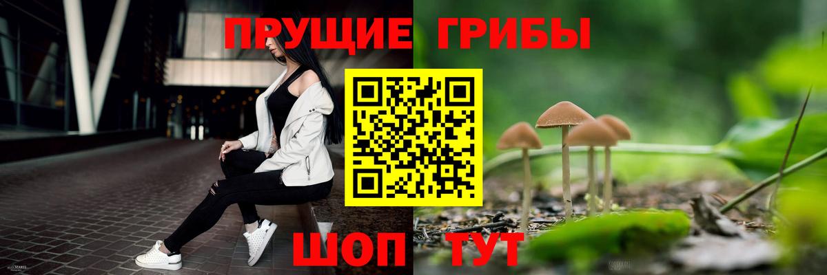 Галлюциногенные грибы Psilocybine cubensis  Псилоцибиновые грибы Psilocybine cubensis  Бутурлиновка  Вход с VPN 